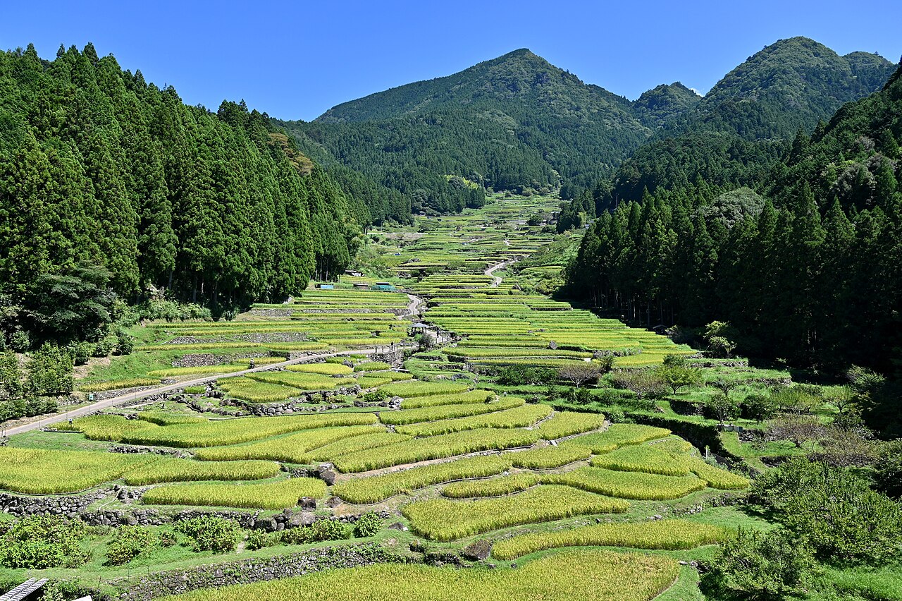 四谷の千枚田（愛知県）