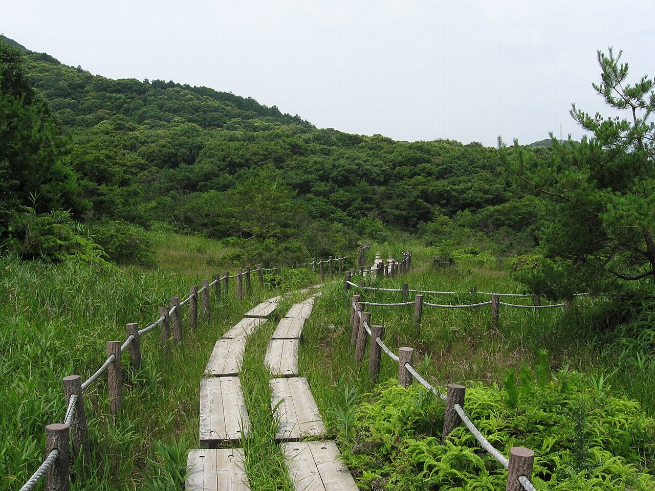 葦毛湿原（愛知県）