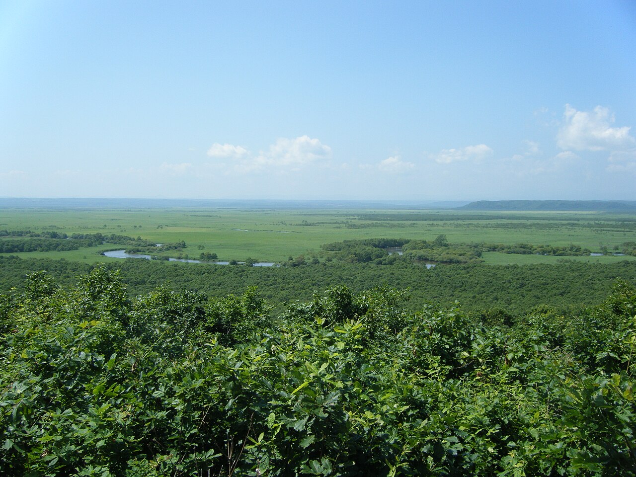釧路湿原(北海道)