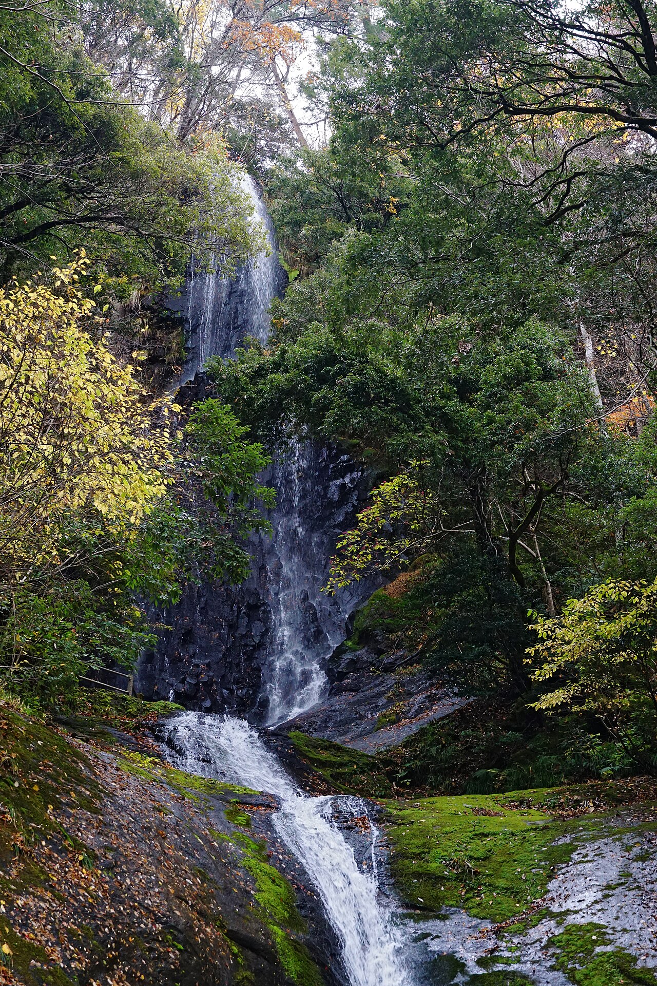 猿尾滝（兵庫県）