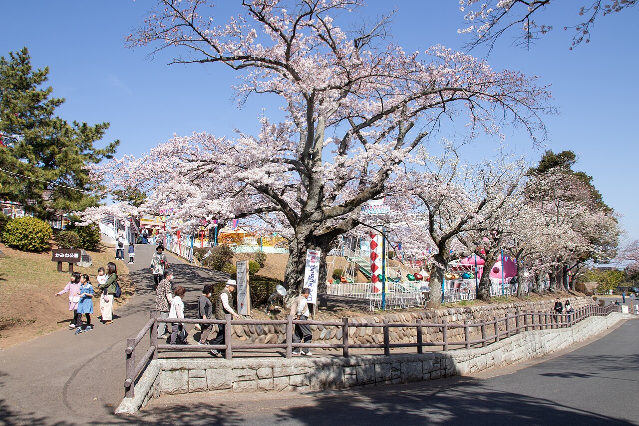 日立市かみね公園(茨城県)