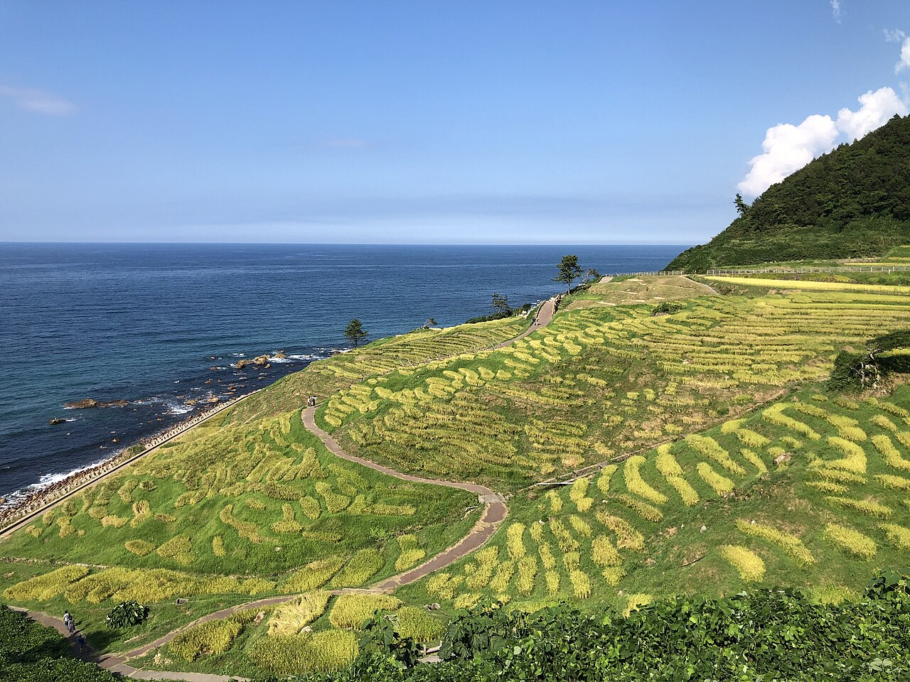 白米千枚田（石川県）