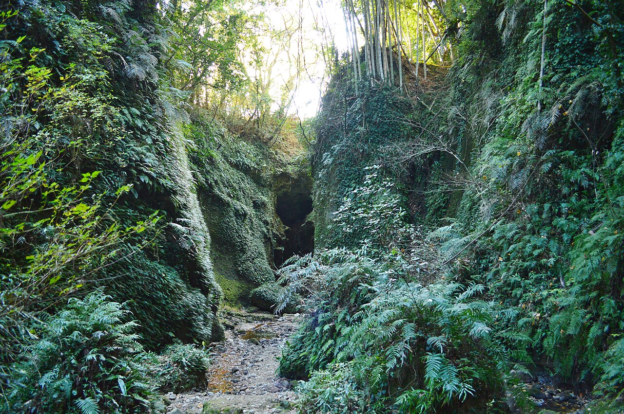 伊尾木洞(高知県)
