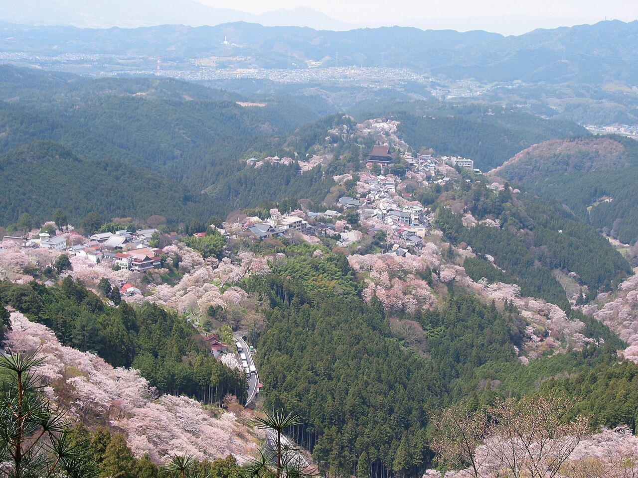吉野山(奈良県)