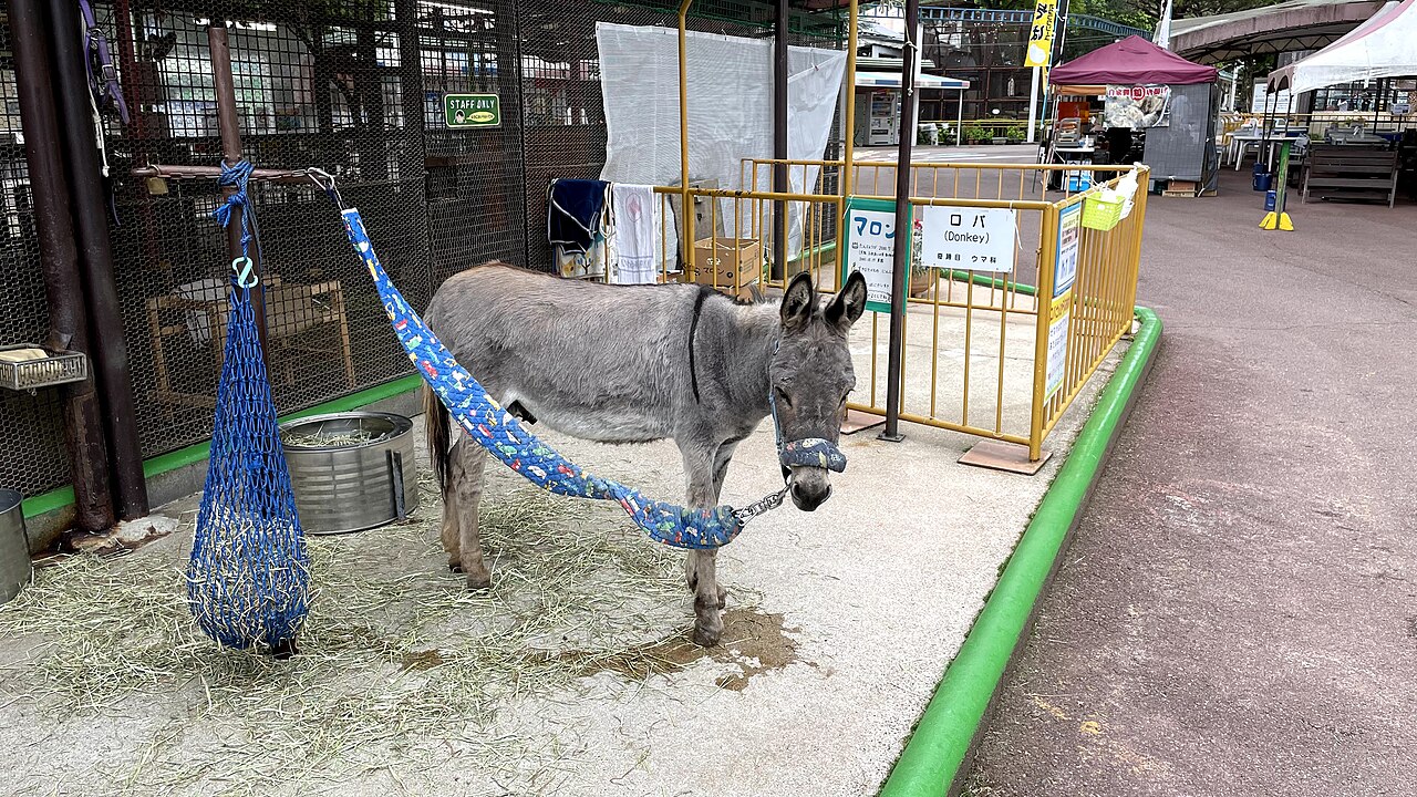 池田動物園（岡山県）