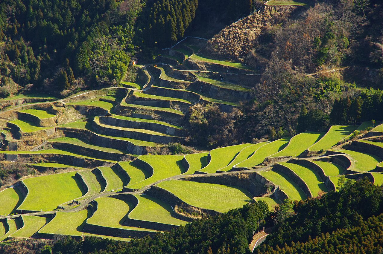 蕨野の棚田(佐賀県)