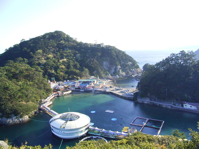 下田海中水族館(静岡県)
