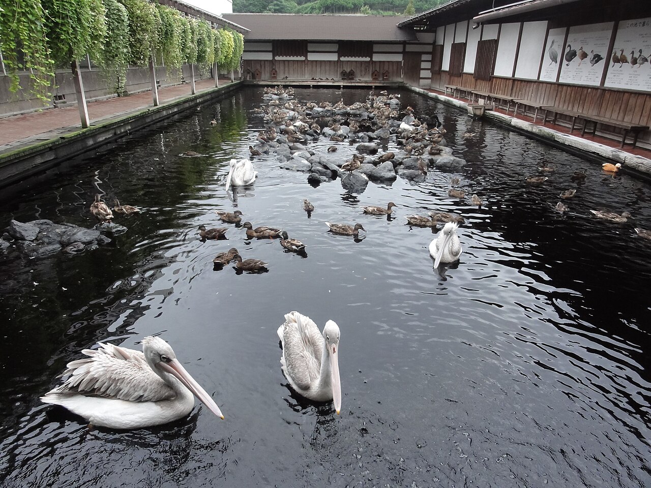 掛川花鳥園(静岡県)