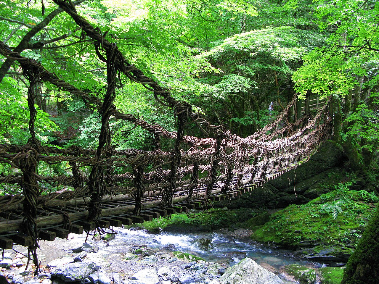 奥祖谷二重かずら橋（徳島県）
