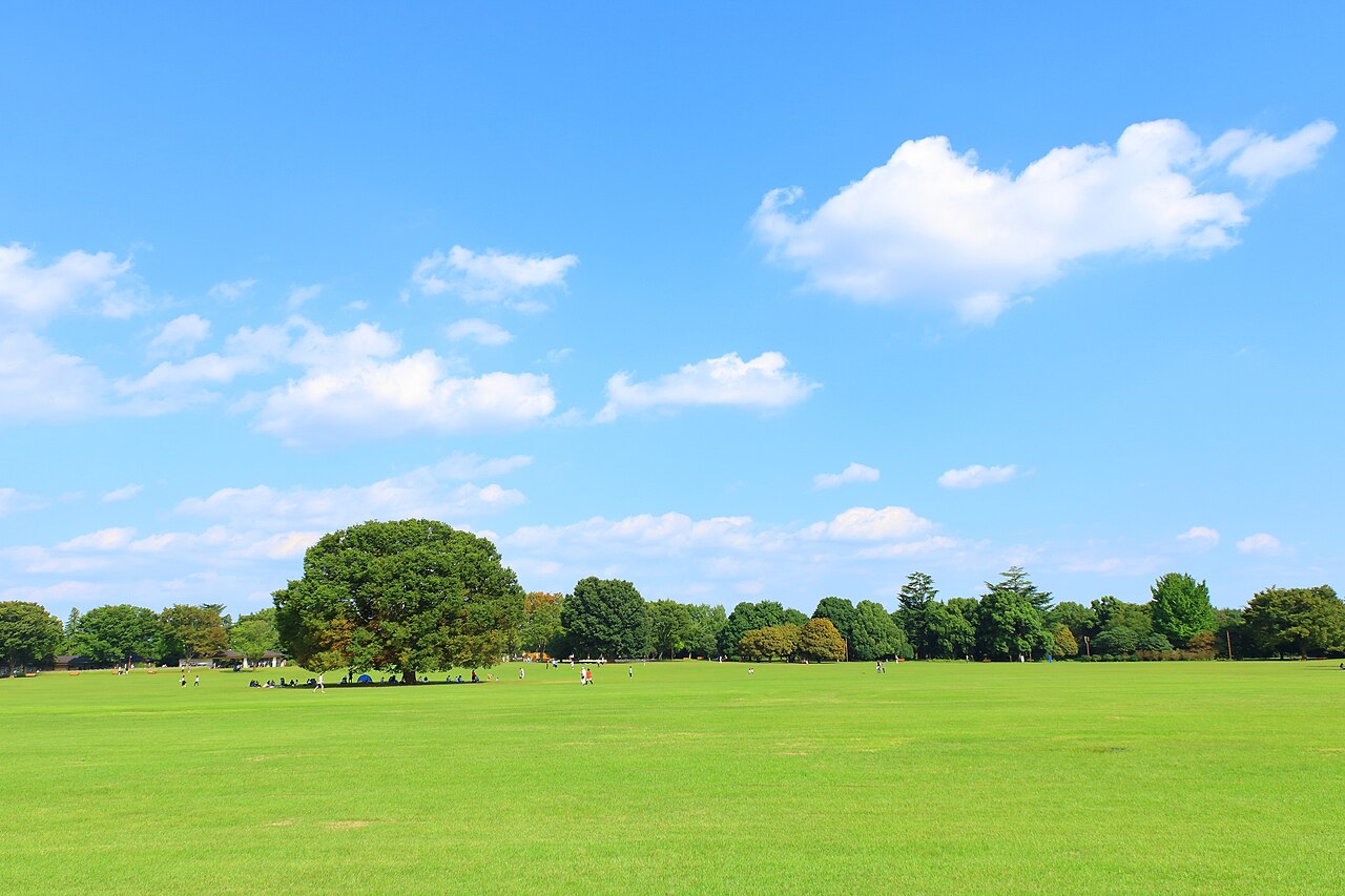 国営昭和記念公園(東京都)