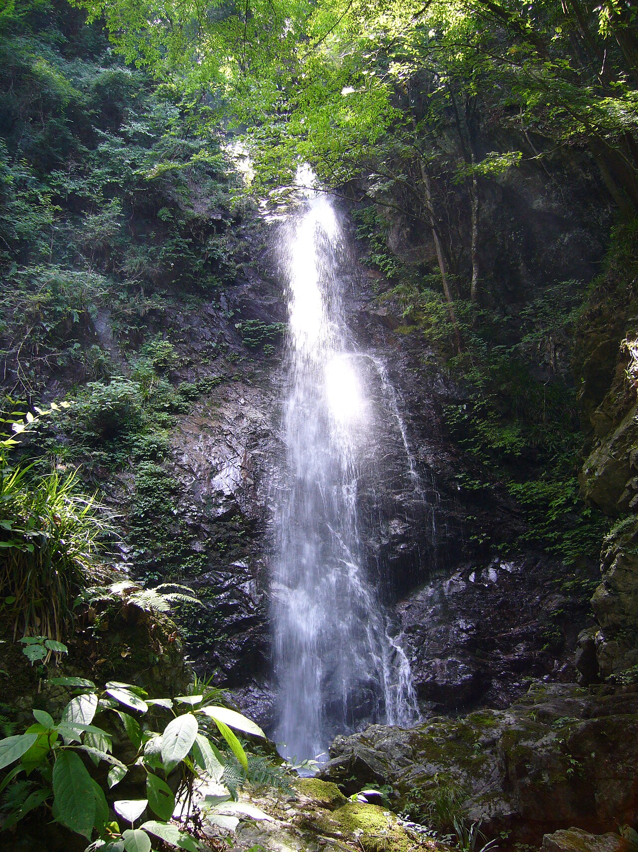 払沢の滝（東京都）