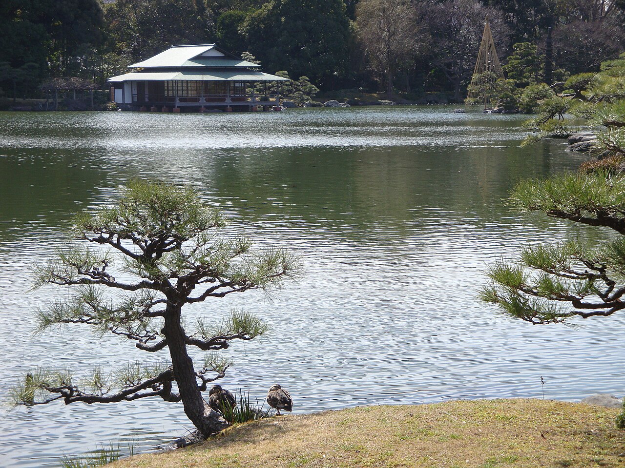 清澄庭園(東京都)