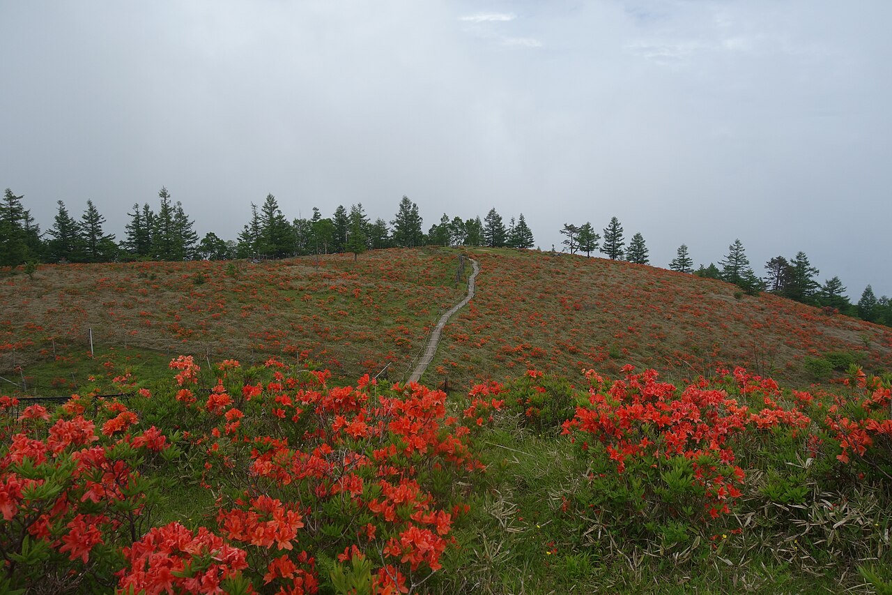 甘利山(山梨県)